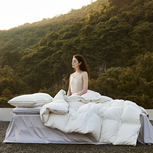 奢华高端95%白鸭绒被冬季加厚保暖羽绒被春秋被芯冬天双人被冬被+