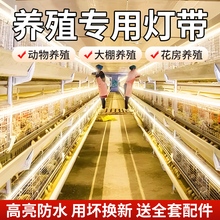 led�Bֳ���ß􎧑����ˮv�����u�������������������������