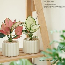 �k���������҃ȾGֲС���������L�[���ļ����B�҃�����ȩ�����՚�