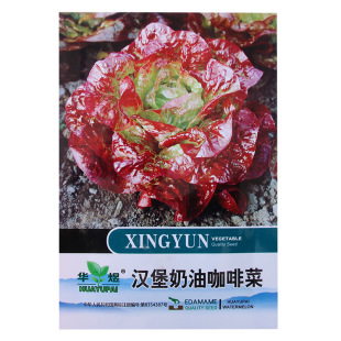 �h�����Ϳ��Ȳ˷N�� �r��˵ش����߲��ļ�����������~��������