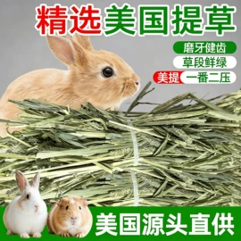 兔子主粮;狗狗窝/笼/垫;其他小宠用品