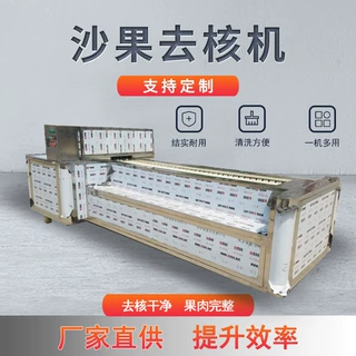 万顷大型沙果脱核切瓣一体 轨道式沙果去核加工机