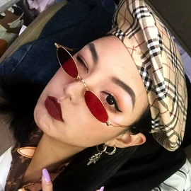 太阳镜;老花镜;光学眼镜