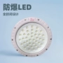 定制投光户外led防爆灯