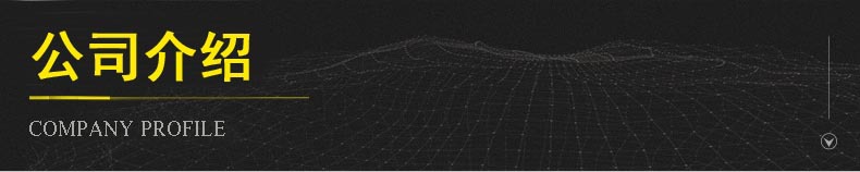 公司简介