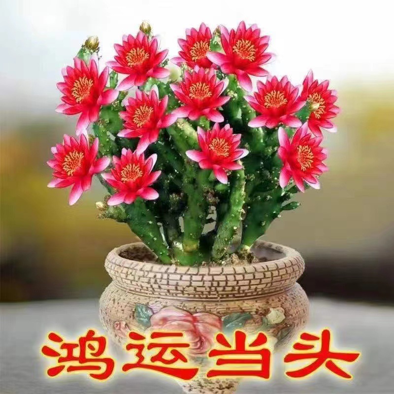 微信图片_20220920120403