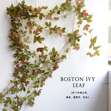 ��c������ɽ���b��ٗl�Fˇ���������ܵ��p�@�ٻ��ٵ�������~��