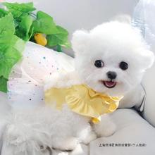 宠物小型博美幼犬咪狗狗衣服扣公主熊猫比牵引纱裙泰迪约克夏贵宾