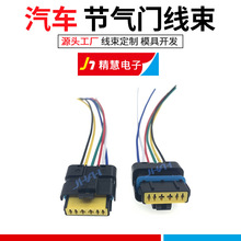 适用标致雪铁龙汽车电子燃油泵插头插座节气门插头线束转向灯线束