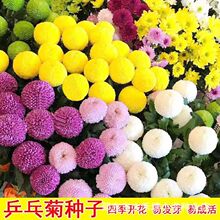 ƹҾջNļ_̨ͥԺNֲ՚ջԾGֲN