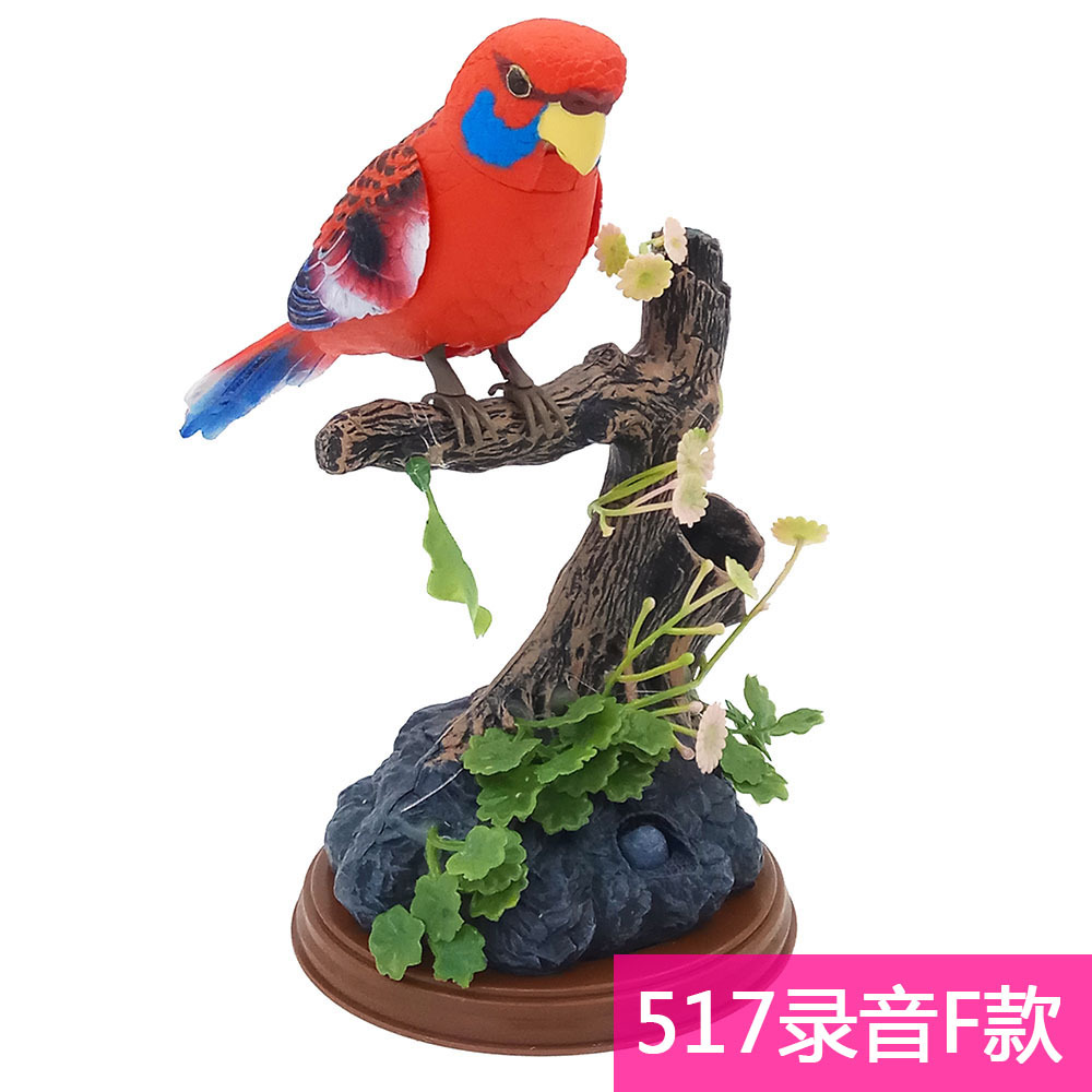 Sesión de grabación de aprendizaje simulación de discurso Loro pájaro controlado por voz Inducción infantil decoración fábrica al por mayor