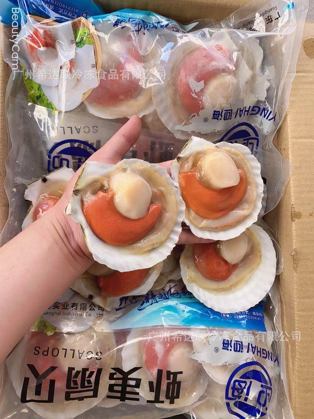 冷冻扇贝 虾夷扇贝 10包20斤/箱 半壳扇贝 烧烤清蒸扇贝