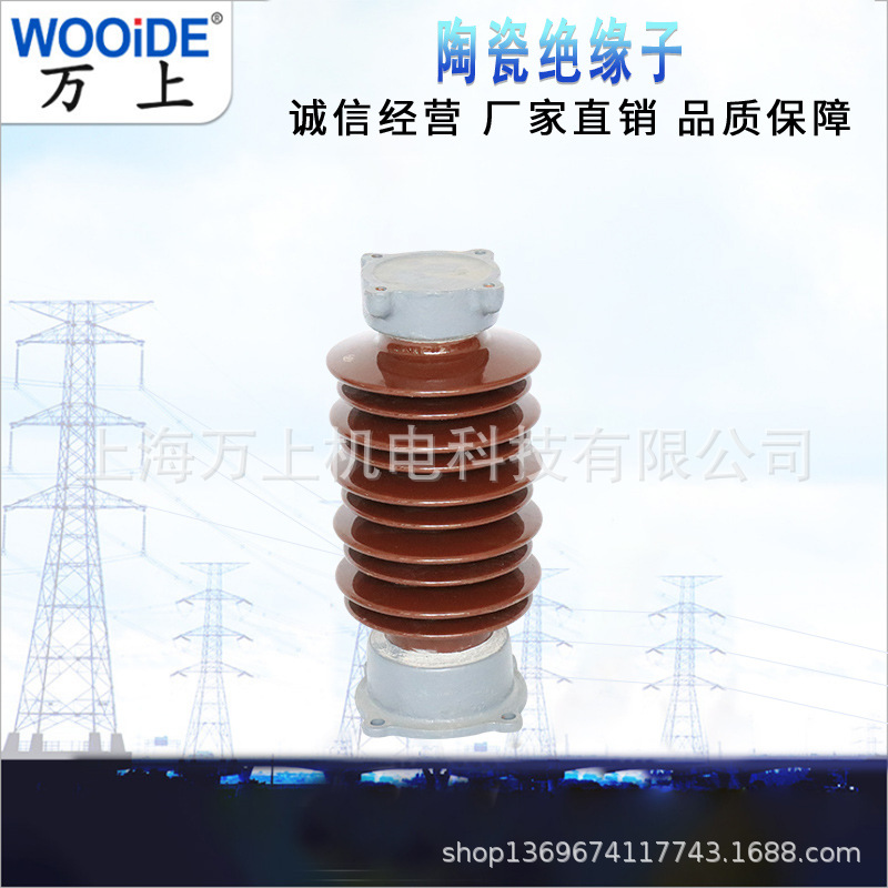 ZSW-35/4户外高压陶瓷绝缘子35/8母线支撑瓷瓶60kv 110 220kv