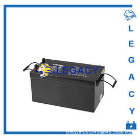 波兰VIPOW蓄电池LP75-12 AGM系列12V75Ah户外 UPS 设备