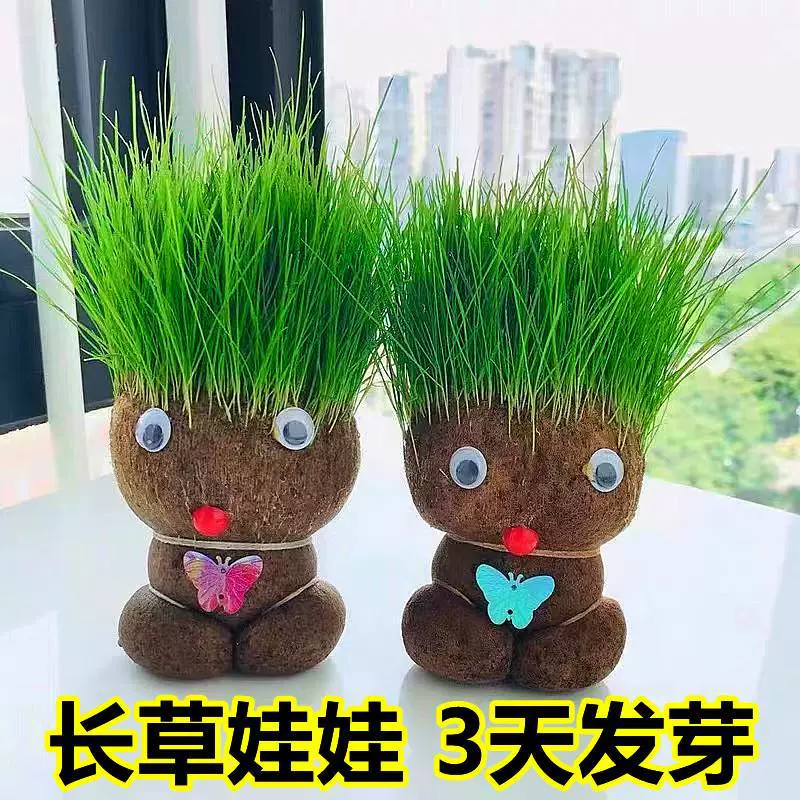 Детский сад, дети-самодельщики, высаживающие маленькие горшечные растения на головах, сеют семена травы, весёлая игра с травяными головками.