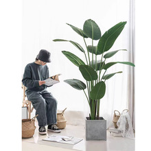 Gֲ߼˽߶pb҃ԷB͏d[