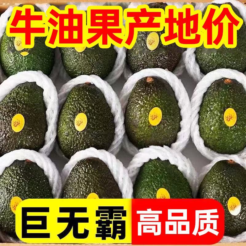 Has Avocado Fresh Seasonal Jumbo Large Fruit Baby Food Supplement Imported Avocado Free Shipping Whole Box