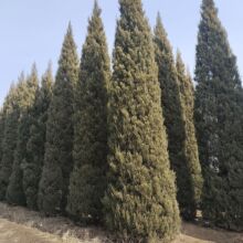 ����   �u��  �Ȱ�  1-10�� �����@�־G����N �L����N