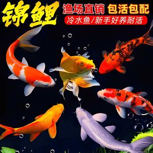 ���N�\���~����~��ˮ��ˮ�^�p�~���~С�͵�ˮ���B�t��С�\���~��