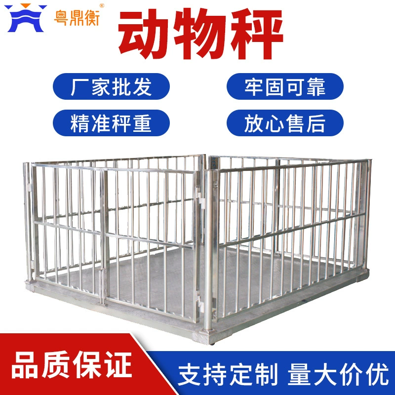 Шанхай Яохуа утверждает, что свиньи и коровы имеют забор 1-3 тонны