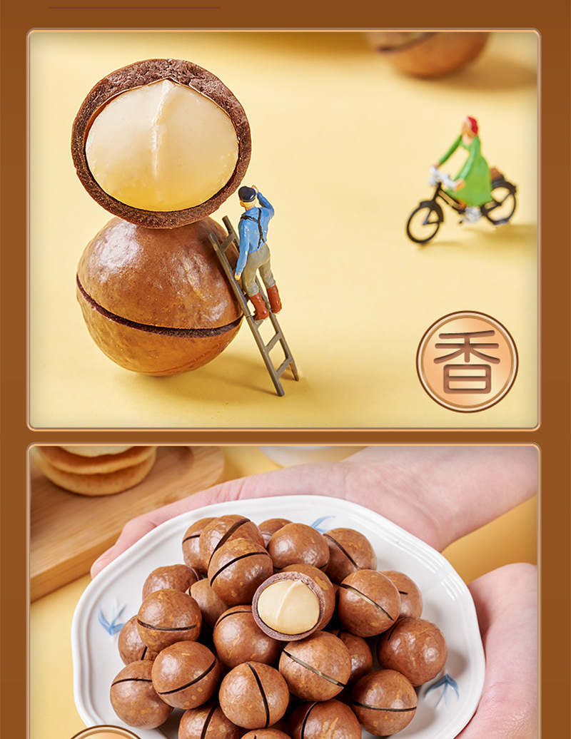 Macadamia Nuts In Shell Snack Easy Crack Roasted Nut Treat 50g Pack specifications