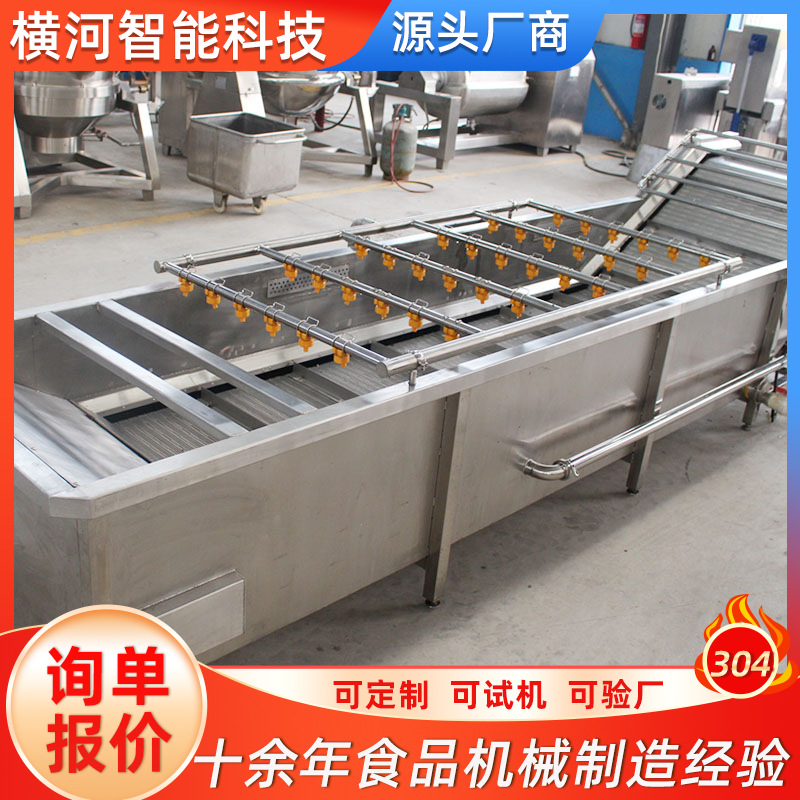 商用果蔬海鲜中药清洗机 果蔬清洗机 喷淋式中药材气泡清洗机