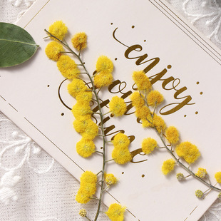 Christmas Flower Dried Flower Embossed Plant Specimen Photo Frame Bookmark Handmade Dripping Material Children's Leaf Painting Baffle