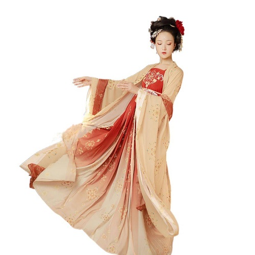 Fairy hanfu Tang dynasty princess dress for Women female adult costume Chinese wind spring tang system embroidery big sleeve shirt printing terminaliachebuia skirt dress