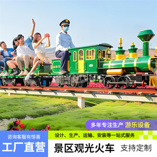 Scenic Spot Cycling Track Train Internet Celebrity Steam Rail Car Door-To-Door Installation Disney Amusement Equipment