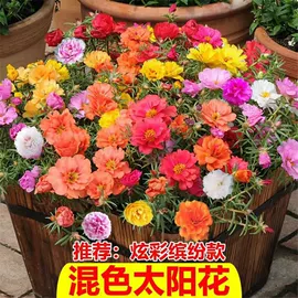 园艺工具;其他园林资材;植保机械