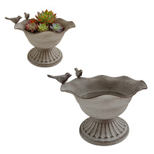 ��ʽ��@�L�͹Ž��ٻ������f�߻�ɫ����Nֲ��ͥԺ�̨�b廨��