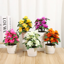 12ľͰɻ滨Լٻ辰͏d[[kb