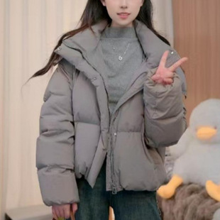 Puff Down Jacket Short Loose Thick Internet Popular Winter Warm Simple Loose Women All-match Stitching Casual
