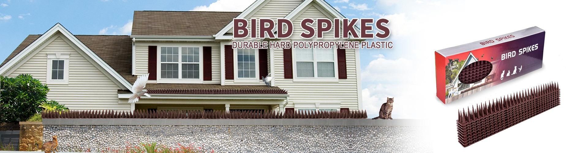 66f3039661bd553eeda7d8182af0a9