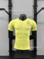 24-25 Spain Away