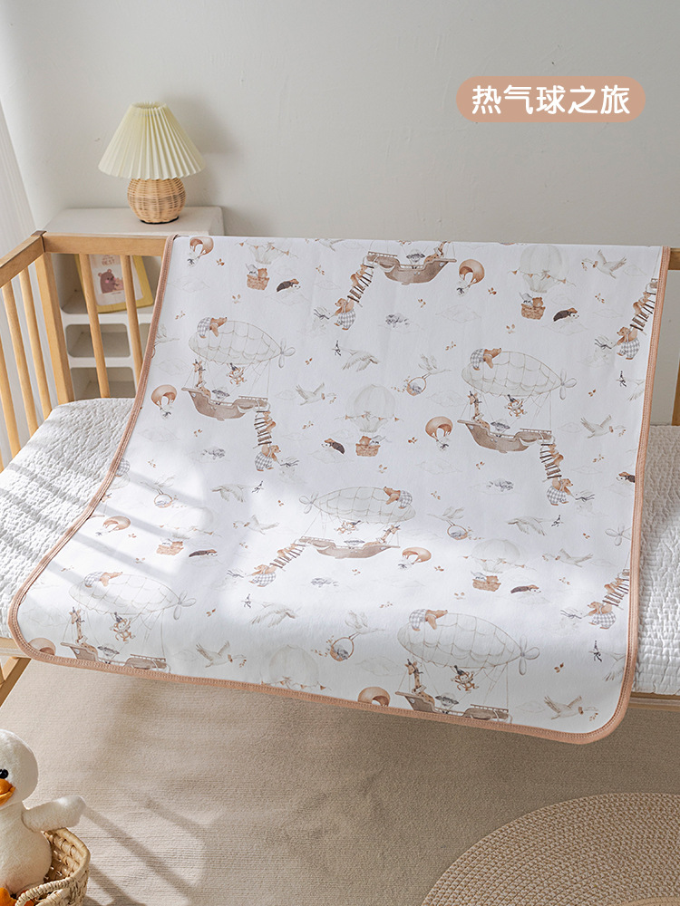 Hot Air Balloon Tour