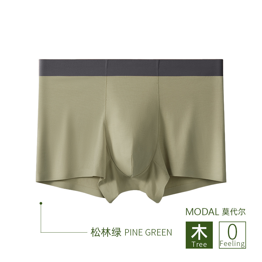 소나무 숲 녹색