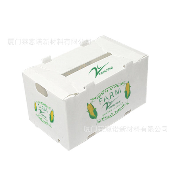 Caja de frutas y verduras de placa hueca pp personalizada plegable impermeable frutas y verduras frescas de transporte de cadena de frío Caja de plástico de calcio image 18