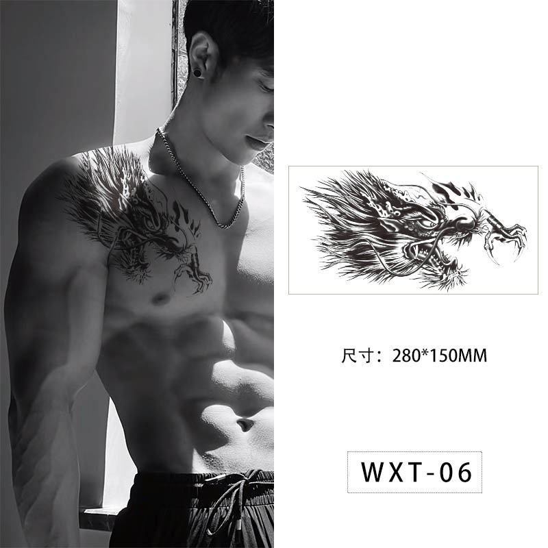 WXT-06 / 280*150MM