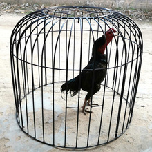 ���u�\�ܻ\�ֻ\���u�\�ӱ����p������Ӗ���\�u�\�ۯB�M�b����