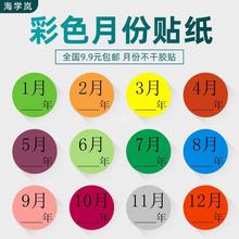 海学岚彩色月份贴纸数字年季度圆点标记1-12月圆形物料不干胶标签