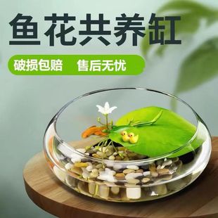 ������ƿ��ɏ�~�X��ˮ�ɻ���ˮ�໨�ܾGֲˮ��͏d�����̨�[��