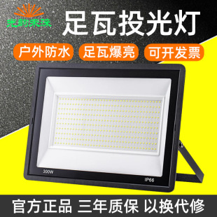 Cross-border 110V small apple LED flood light outdoor waterproof 100W high brightness household courtyard road lighting