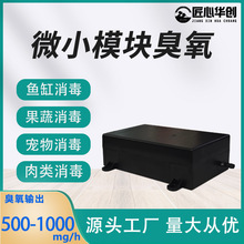 微型臭氧发生器1000mg/h小型模块消毒臭氧发生器空气净化器配件