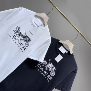 25��ޢ�Ҷ�����CH�����R��܇�̽���ĸT�����e�A�I��H��ư���
