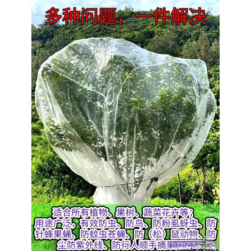 防鸟防虫网罩果树蔬园艺防冰雹病虫害蚊虫果蝇针蜂透明白纱网套罩