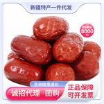 新疆特产和田大枣骏枣沙漠红枣新枣煮粥炖汤泡水干果零食包邮