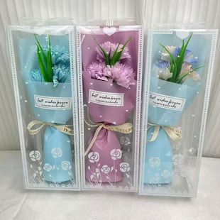 ����Ů�������֧���滨�П�����pvc͸�������r���������b����