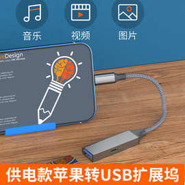 适用苹果转usb拓展坞otg转接头手机平板电脑u盘鼠标硬盘HUB转换器