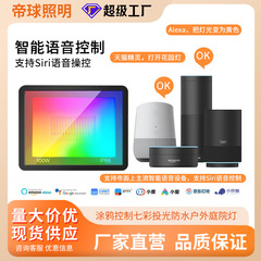 クロスボーダー落書きスマート WIFI + Bluetooth RGBCW 新製品 APP 投光器カラフルな中庭の雰囲気 LED 投光器